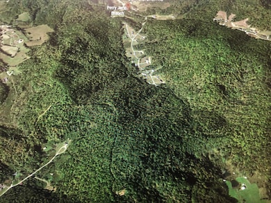 9999 Jarvis Branch Rd, Barbourville, KY 40906 - photo 5