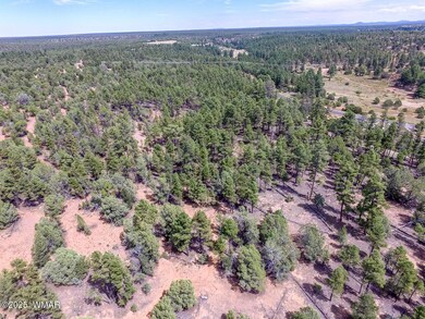 DJI_0013
