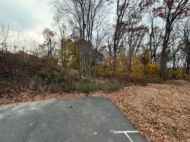 0 Lonsdale St, Waterbury, CT 06704 - photo 5