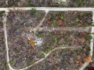 010-01899-000 Hornpipe Ave, Briarcliff, AR 72653 - photo 7