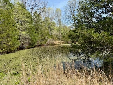 000 State Highway 76, Ava, MO 65608 - photo 7