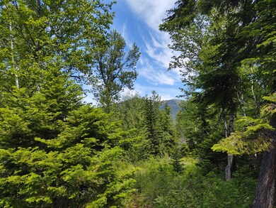 Lot 14 Tranquil Place, Bigfork, MT 59911 - photo 2