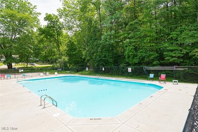 82 Pineywood Trail, Falls Township, OH 43138 - photo 6