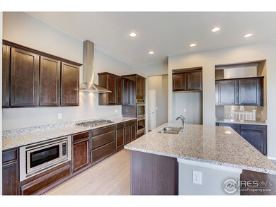 6012 Story Rd, Timnath, CO 80547 - photo 6