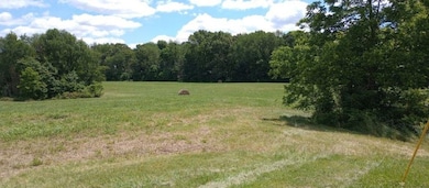 0 Vantrease Rd, Franklin, KY 42134 - photo 6