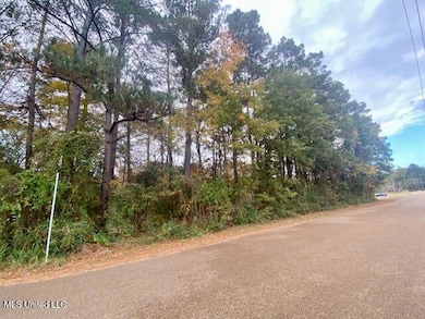 0 Llewellyn Ave, McComb, MS 39648 - photo 2