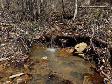 IMG_9011 (1)