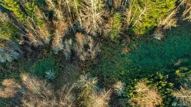 0 302nd Ave SE, Enumclaw, WA 98022 - photo 7