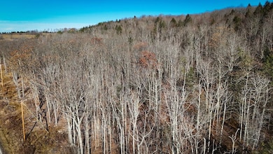 0 Langford Creek Rd unit LotWP002, van Etten, NY 14889 - photo 3