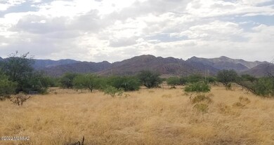 View West to Dragoons
