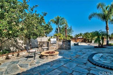 Views of the fire pit, the built-in BBQ with umbre