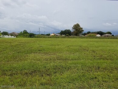 View of local wilderness