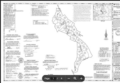 LT 123 Blalock Mountain Rd, Talking Rock, GA 30175 - photo 5