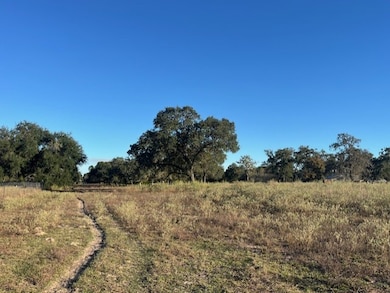 1311-A Alleyton Rd, Columbus, TX 78934 - photo 4