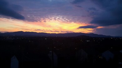 view4