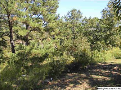 The front pasture can be cleared and horses and or