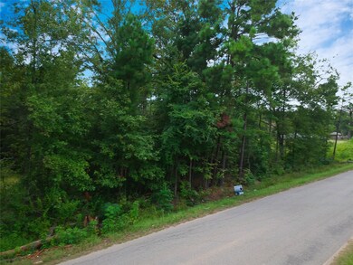 Lot 133 Lexington, Conroe, TX 77385 - photo 6