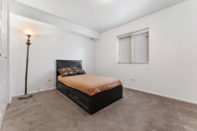 17701 Park Blvd unit 104, Lansing, IL 60438 - photo 6