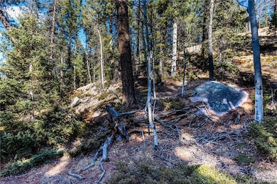 0 Arrowhead Rd, Florissant, CO 80816 - photo 5