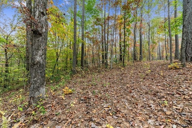 LOT 67 Bridge Rd, Ellijay, GA 30540 - photo 3