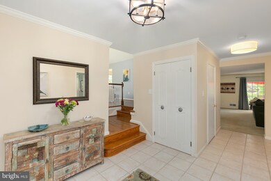 12802 Camellia Dr, Silver Spring, MD 20906 - photo 6