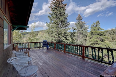 255 Saddlestring Rd, Bailey, CO 80421 - photo 5