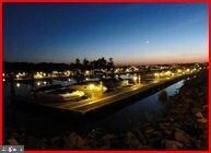 29664 Colony Dr unit C14, Dagsboro, DE 19939 - photo 6