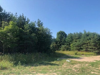 704 Maple Creek Blvd unit 1, Petoskey, MI 49770 - photo 6