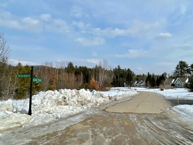 #33 Blake Trail unit lot 33, Tuftonboro, NH 03816 - photo 3