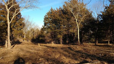 14505 Private Drive 8541, Newburg, MO 65550 - photo 3