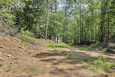 Looking down driveway