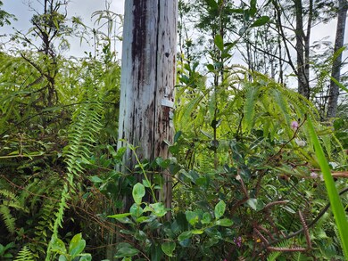Power pole a short distance from property