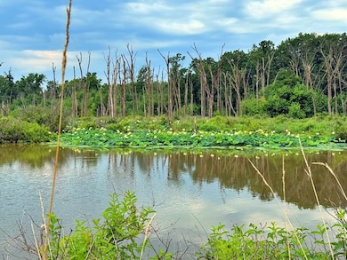 Highway 24 Lot unit WP001, Keytesville, MO 65261 - photo 2