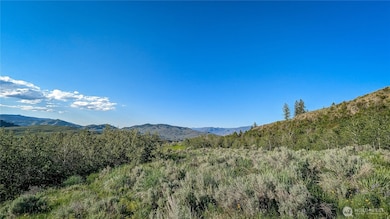 837 C Ellemeham Mountain Rd, Oroville, WA 98844 - photo 3