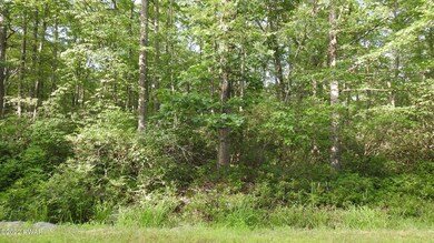 141 Mohegan Dr, Milford, PA 18337 - photo 2