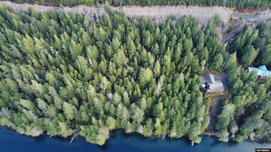 Lot 1 Legal Address Only unit Lot 1, Betton View S, Ketchikan, AK 99901 - photo 2