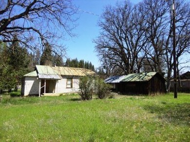 Back - Yard