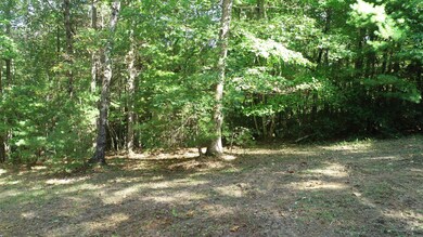 Homesite_3