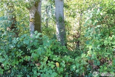 3085 W Maplewood Ave, Bellingham, WA 98225 - photo 6