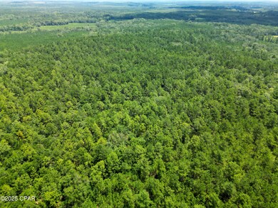 TBD Creek Run Rd, Vernon, FL 32462 - photo 7