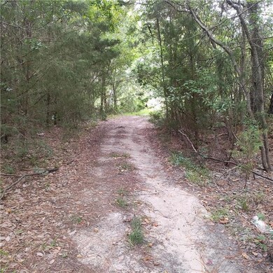 View of path/dr with a wooded view