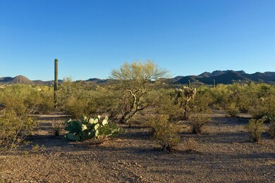 LAZY C RANCH ~ LOT 1