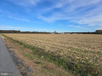 0 Richardson Rd, 14, Willards, MD 21874 - photo 4