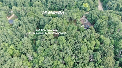 22870 13 Mile Rd, Big Rapids, MI 49307 - photo 3