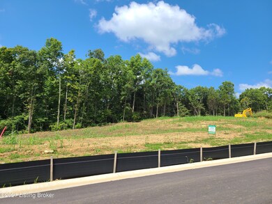 30 Goodlett Kilner Ct, Mount Washington, KY 40047 - photo 4