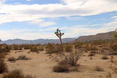 45908 Anita Ave, Yucca Valley, CA 92284 - photo 7