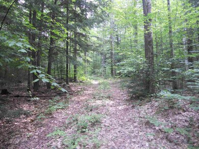 141 Sparling Hill Rd, Unity, NH 03743 - photo 3