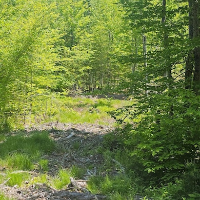 18B Isaac Stevens Rd, Bridgton, ME 04009 - photo 5