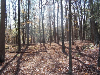 334 Swartekill Rd, Esopus, NY - photo 6