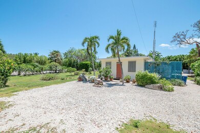 3-web-or-mls-306-lime-st